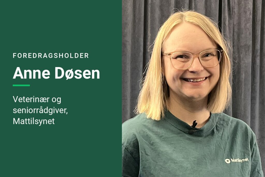 Dyrevelferd og smittevern – og avløsere
